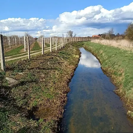 Ostoja Zamek Gora Kalwaria דירה Czersk