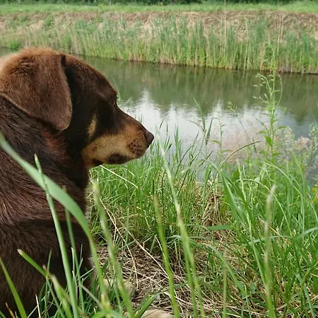 Ostoja Zamek Gora Kalwaria
