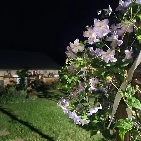 Ostoja Zamek Gora Kalwaria Διαμέρισμα *