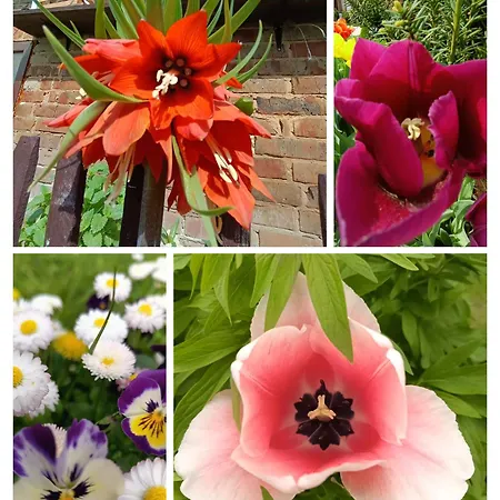 Ostoja Zamek Gora Kalwaria Διαμέρισμα