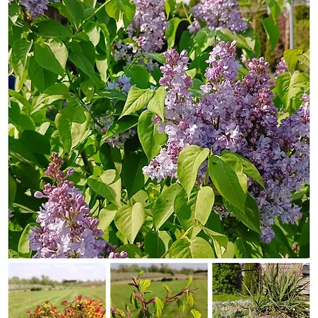 Ostoja Zamek Góra Kalwaria Czersk