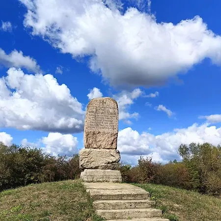 Ostoja Zamek Gora Kalwaria *
