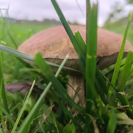 Ostoja Zamek Góra Kalwaria Apartament