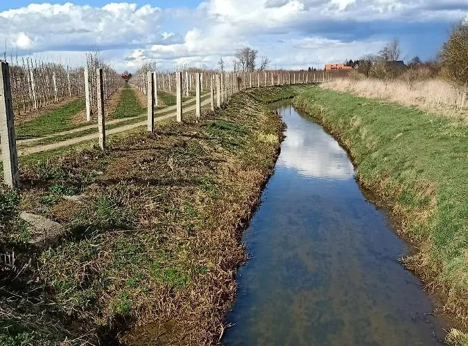 Ostoja Zamek Gora Kalwaria Apartment Czersk