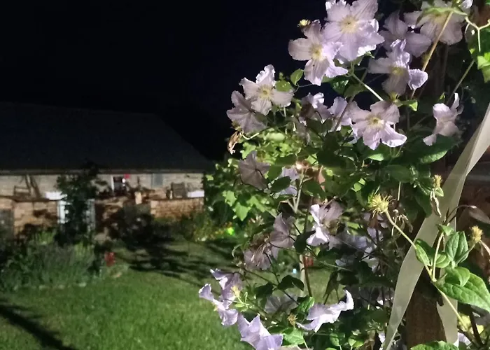 Ostoja Zamek Gora Kalwaria Apartment *