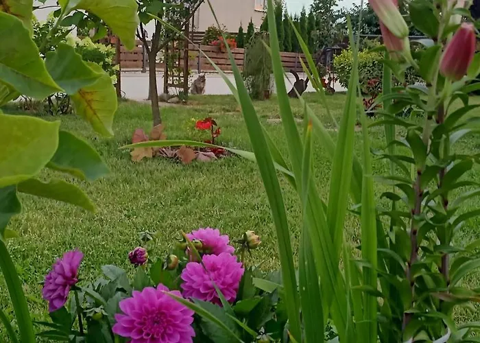 Ostoja Zamek Gora Kalwaria * Czersk