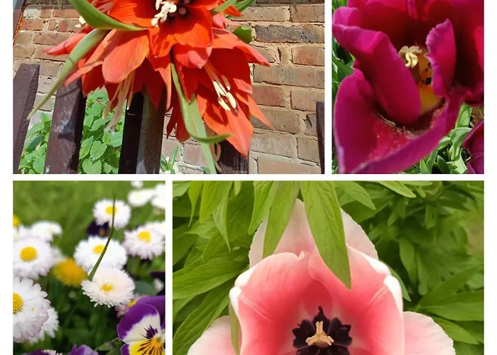 Ostoja Zamek Gora Kalwaria Apartment