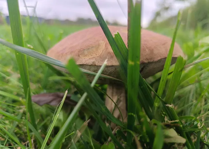 Ostoja Zamek Gora Kalwaria Apartment